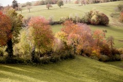 181164_w Lessinia autunno