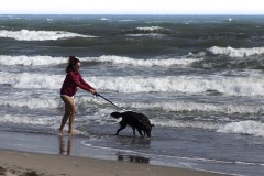 rosolina mare  "Spiaggia Libera"