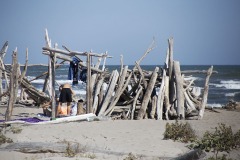 rosolina mare "Spiaggia Libera"