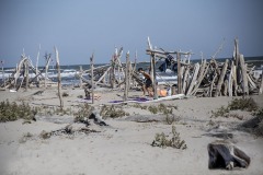 rosolina mare "Spiaggia Libera"