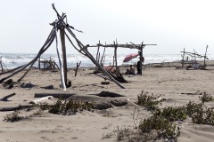 rosolina mare "Spiaggia Libera"